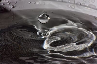 Close-up of drop splashing in water