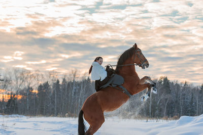Man riding horse in winter