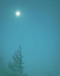 Low angle view of moon in sky