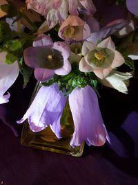 Close-up of purple flowers