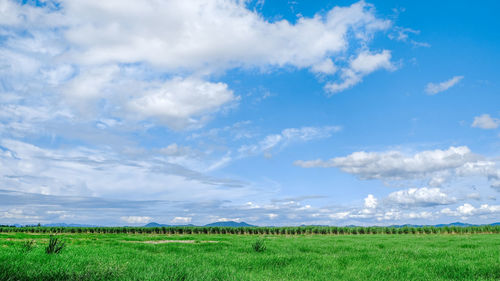 Sky and grassland scenery in rural thailand