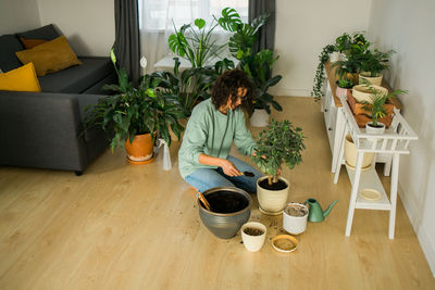 Potted plant on table at home