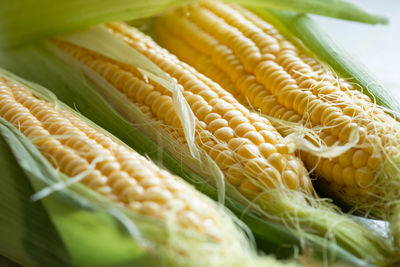 Three ears of corn