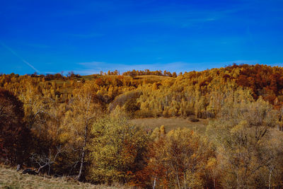 Autumn landscapes in the romanian mountains, fantanele village,  cindrel mountains, romania