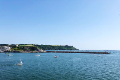 Sailboats sailing in sea against clear blue sky