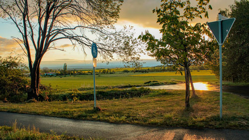 Trees on field against sky during sunset