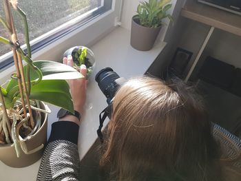 High angle view of woman photographing plant at window sill