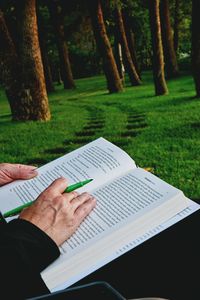 Cropped image of woman with book at park