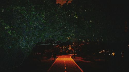 Road in forest at night