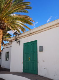 Palm tree by building against sky