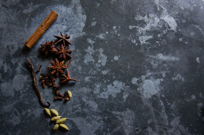 High angle view of dry leaf on wood