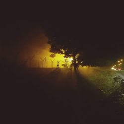 Silhouette trees on field against sky at night