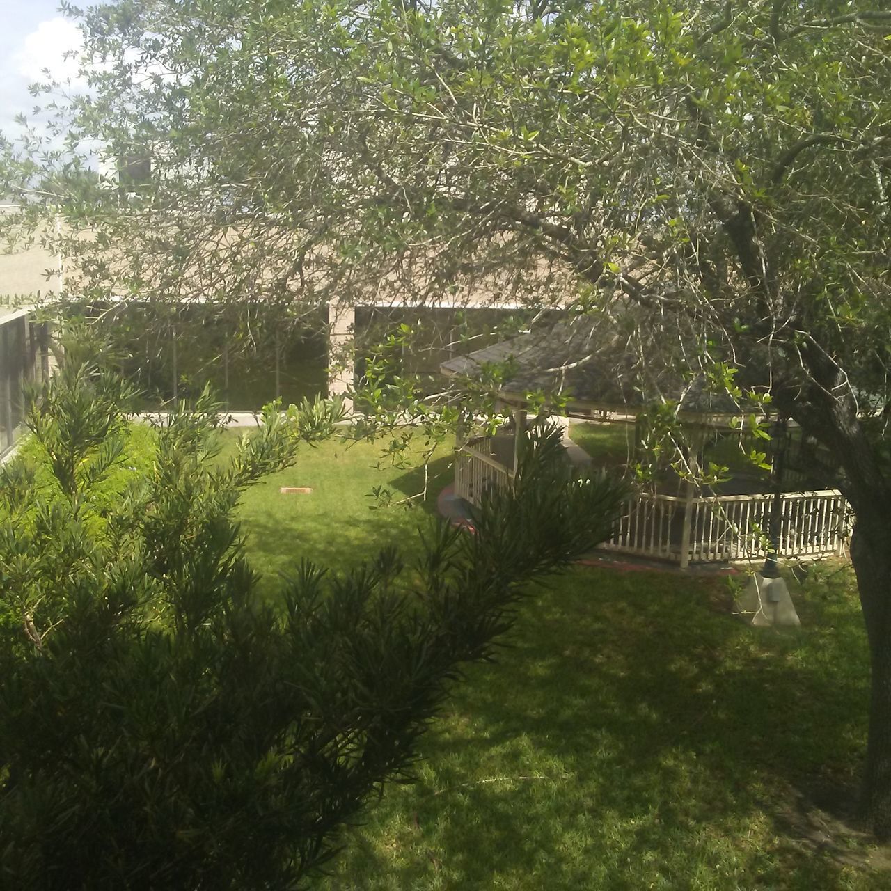 PLANTS AND TREES GROWING IN PARK