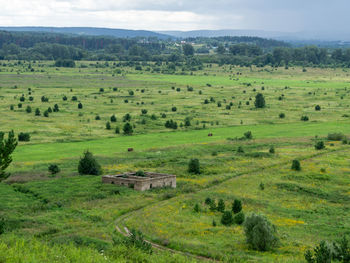 landscape