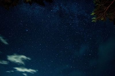 Low angle view of star field at night