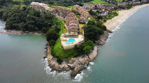 High angle view of tree by sea