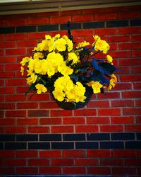 Yellow flowers on brick wall