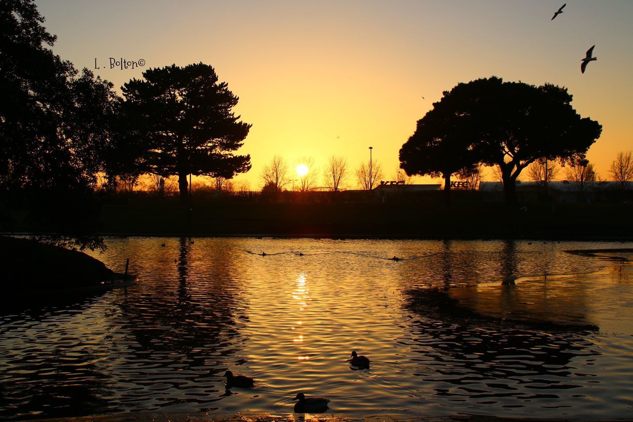 sunset, silhouette, tree, nature, reflection, water, animal themes, orange color, sky, bird, animals in the wild, no people, outdoors, lake, beauty in nature, scenics, animal wildlife, sun, landscape, day