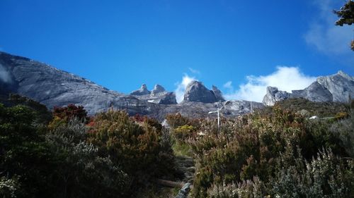 Panoramic view of trees and mountains against blue sky