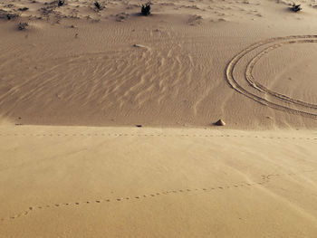 High angle view of tire tracks on sand at beach