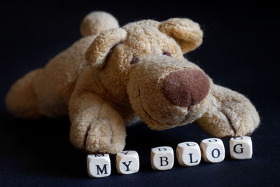 Close-up of stuffed toy over black background