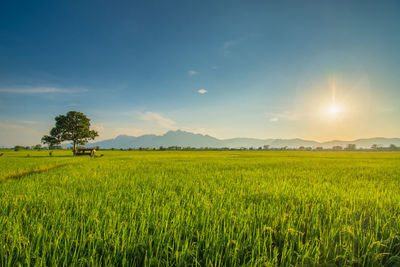 A very beautiful sunset in the mountains called doi nang non. 