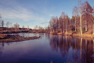 Reflection of bare trees in calm lake