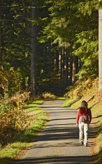 Mature female hiker walking on forest trail