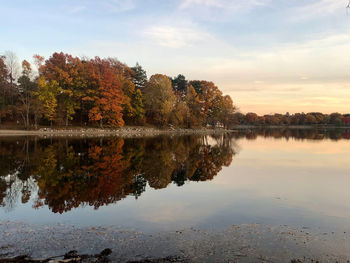 Reflection of trees in lake against sky during autumn