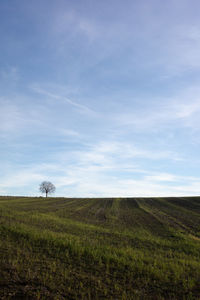 Scenic view of field against sky in valensole