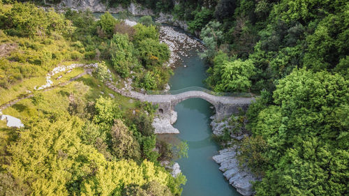 High angle view of bridge over river in forest