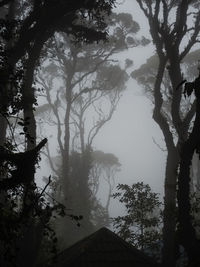 Low angle view of silhouette trees and buildings against sky