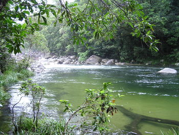 River flowing through rocks