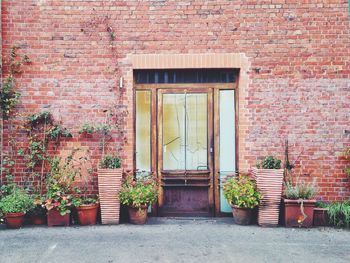 Potted plants arranged outside house