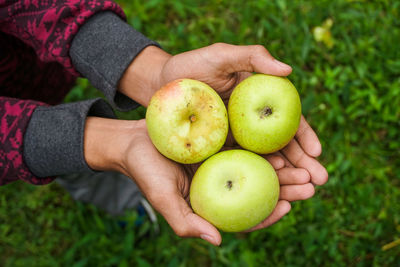 Close-up of hand holding apple