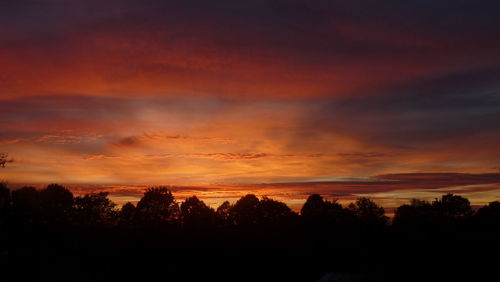 Silhouette trees against dramatic sky during sunset