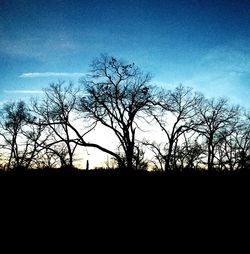 Silhouette of bare trees against sky