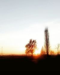 Silhouette trees on field against sky at sunset