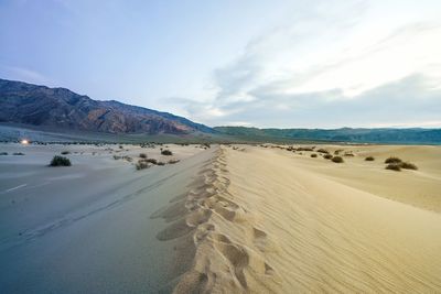 Scenic view of beach against sky