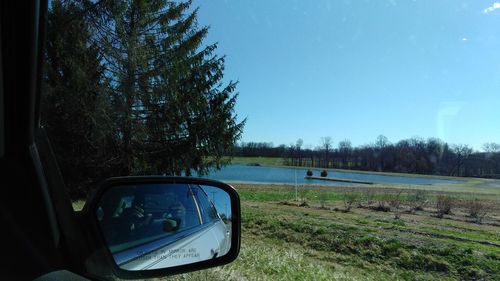 View of car against trees