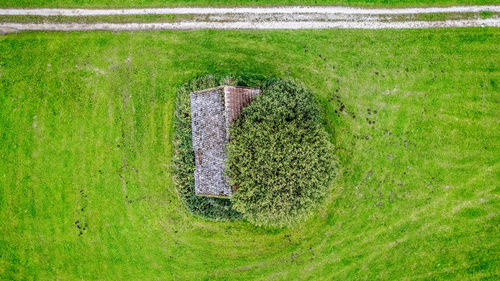 High angle view of agricultural field