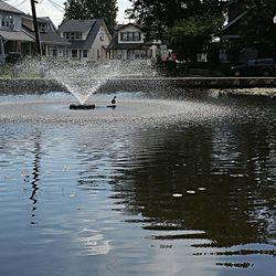 Reflection of buildings in water