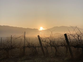 Scenic view of silhouette land against sky during sunset