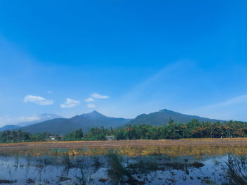 Scenic view of lake against blue sky