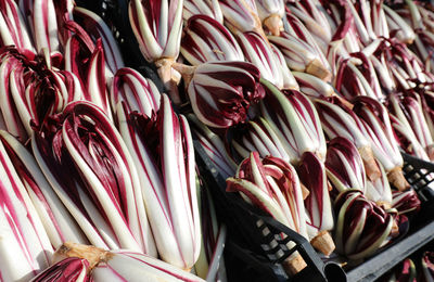 Full frame shot of flowers for sale in market