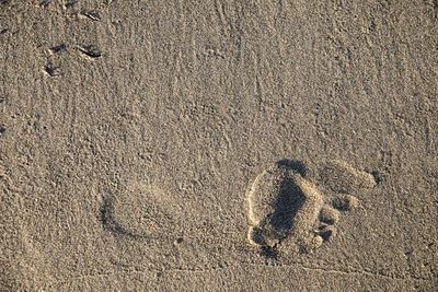High angle view of footprints on beach