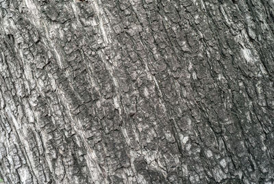 Full frame shot of abstract background