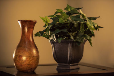 Close-up of potted plant on table at home