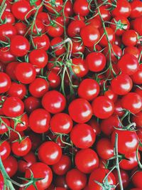 Full frame shot of tomatoes