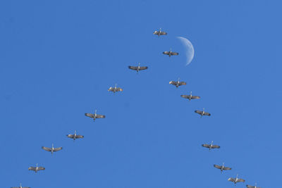 Low angle view of airshow against clear blue sky